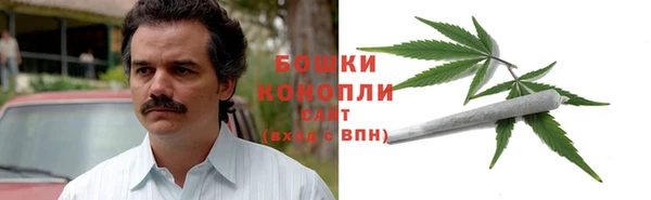 амф Белокуриха