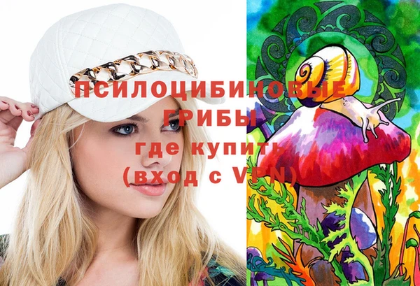 mdpv Бородино