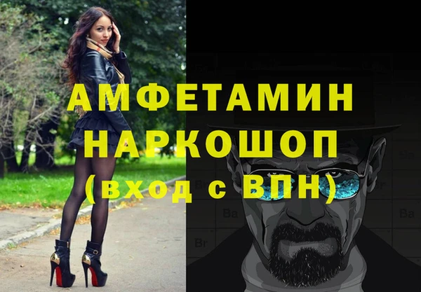 mdpv Бородино