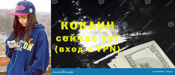 mdpv Бородино